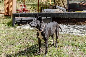 Shabbat Hotel Boutique