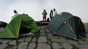 Triund Trek and Camping