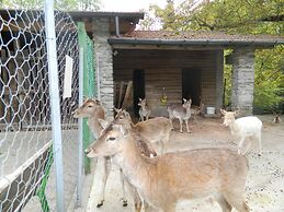 Lago Maggiore Holiday House Lake View Vignone
