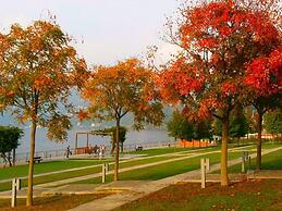 Lago Maggiore Holiday House Lake View Vignone