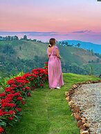 Above the clouds - Chiang rai