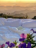 Above the clouds - Chiang rai