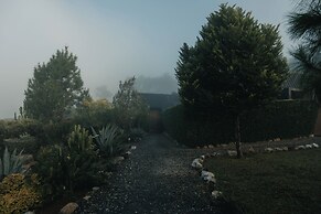 THE CAMPIAN