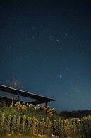 THE CAMPIAN