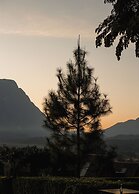 THE CAMPIAN