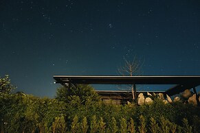 THE CAMPIAN