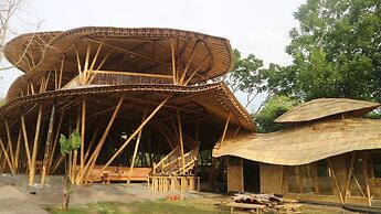 The Osing Bamboo - A Liberta Collection