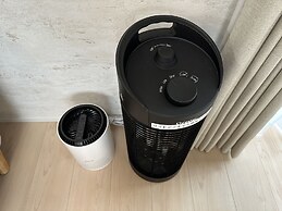 SolanaFujiyamanakako