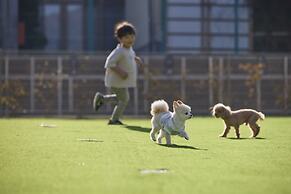 SolanaFujiyamanakako