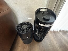 SolanaFujiyamanakako