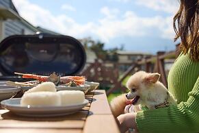 SolanaFujiyamanakako