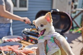 SolanaFujiyamanakako