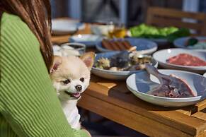 SolanaFujiyamanakako