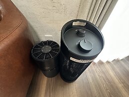 SolanaFujiyamanakako