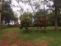 Home stay studio 62 guesthouse