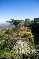 All Seasons Guest House