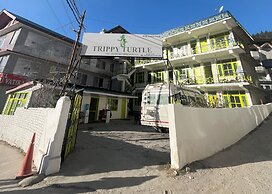 Trippy Turtle Hostel