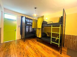 Trippy Turtle Hostel