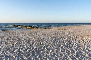 Olivo Komfort i Skandynawski Design Blisko pla y