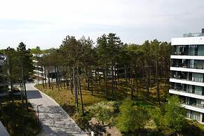 Art Forrest 33 M in Rogowo