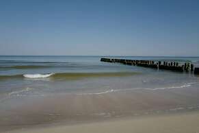 Art Forrest 33 M in Rogowo