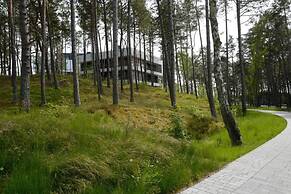 Art Forrest 33 M in Rogowo