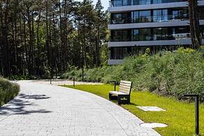 Art Forrest 33 M in Rogowo