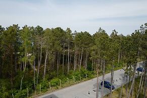 Art Forrest 33 K in Rogowo