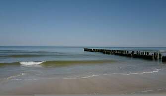 Art Forrest 33 K in Rogowo