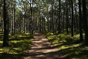 Art Forrest 33 B in Rogowo