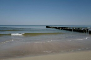 Art Forrest 33 B in Rogowo