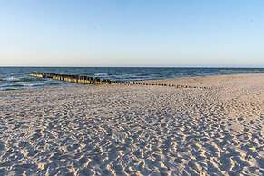 Art Forrest 33 B in Rogowo