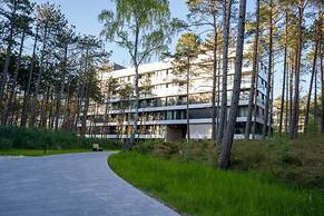 Art Forrest 33 B in Rogowo