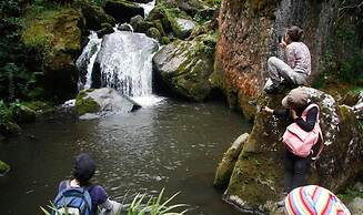 Inviting Mountain Chalet in San Francisco