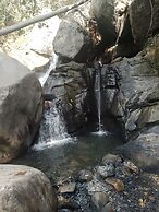 Inviting Mountain Chalet in San Francisco
