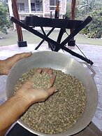 Inviting Mountain Chalet in San Francisco