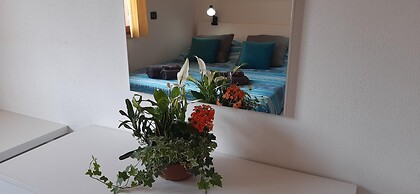 Casa Cao Appartamento L Ulivo