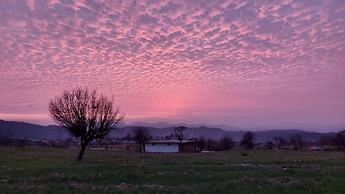 The Lost Hostels-Bir - Landing Site
