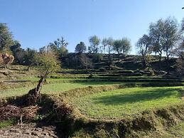 The Lost Hostels-Bir - Landing Site