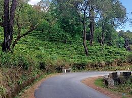 The Lost Hostels-Bir - Landing Site