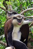 Park View Apartments Grenada