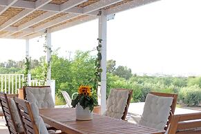 Modern 4-bedroom Villa With A Private Pool