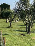 PALAZZO DEL PAPA COUNTRY SUITES