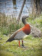 Amazing Cabin on the Shore of Lake Moreno H58 by Apartments Bariloche