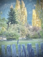 Amazing Cabin on the Shore of Lake Moreno H58 by Apartments Bariloche