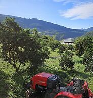 Pousada Vila Felicita