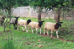 Pousada Vila Felicita