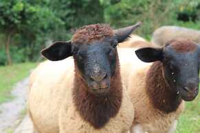 Pousada Vila Felicita