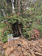 Pousada Vila Felicita