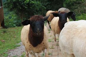 Pousada Vila Felicita